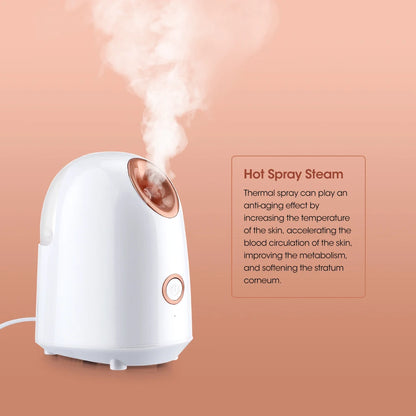 Nano Ionic Facial Steamer Beauty Tool